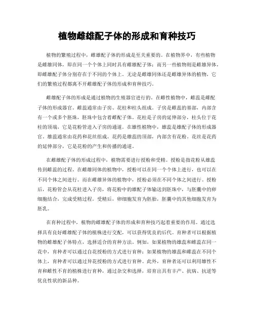 植物雌雄配子体的形成和育种技巧
