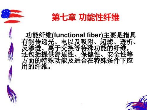 功能性纤维PPT课件