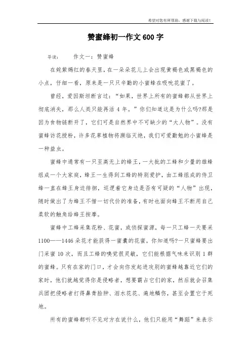 赞蜜蜂初一作文600字