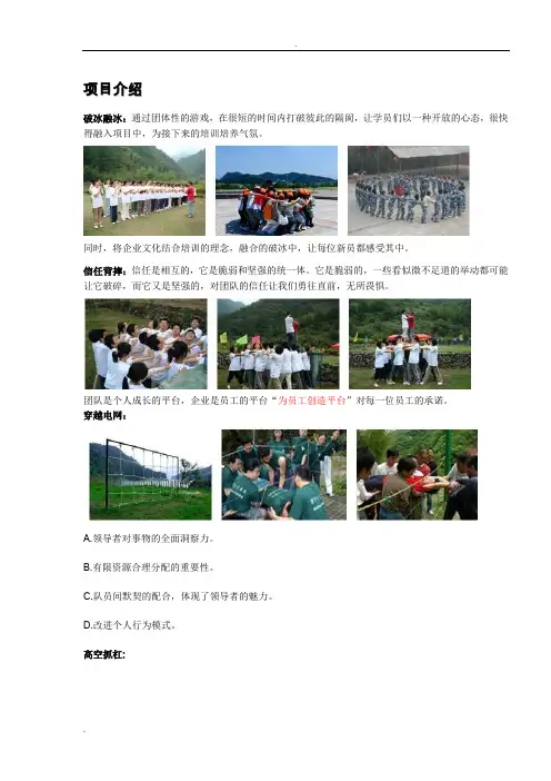 拓展项目介绍
