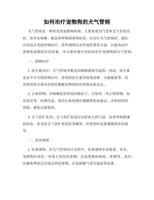 如何治疗宠物狗的犬气管病