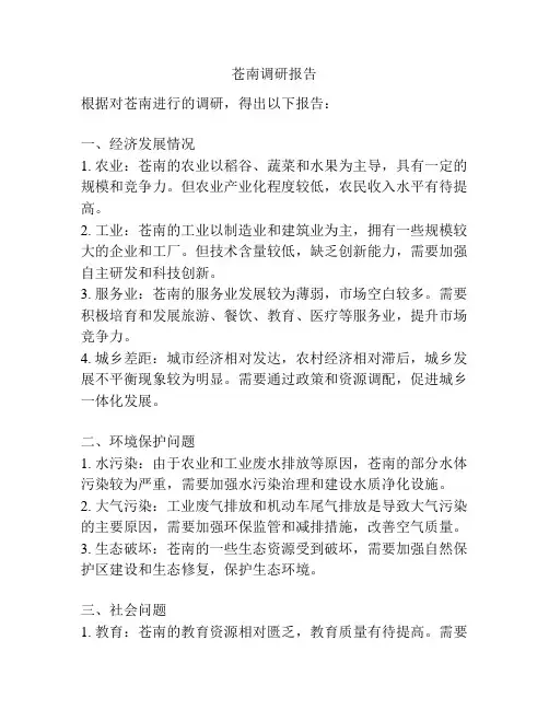 苍南调研报告