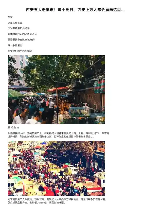 西安五大老集市！每个周日，西安上万人都会涌向这里…