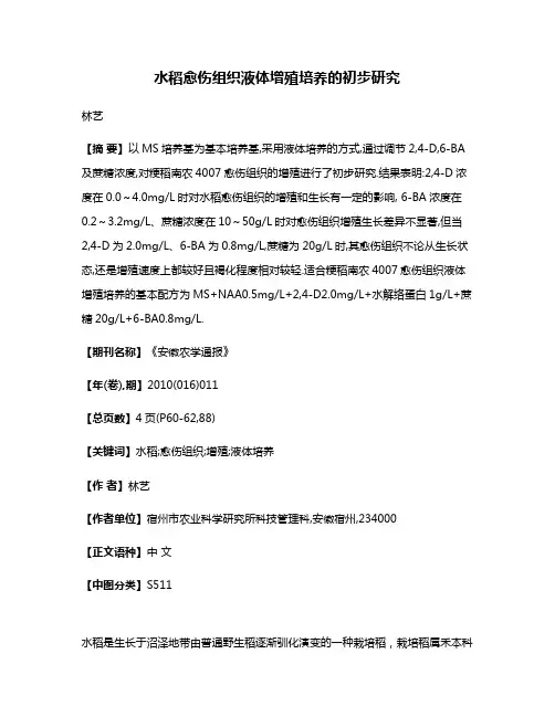 水稻愈伤组织液体增殖培养的初步研究