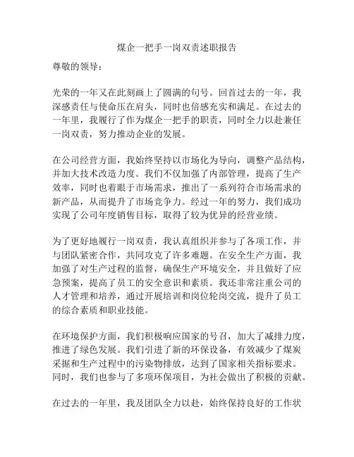煤企一把手一岗双责述职报告