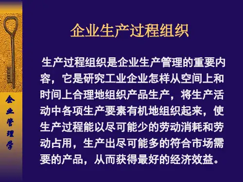 企业生产过程组织