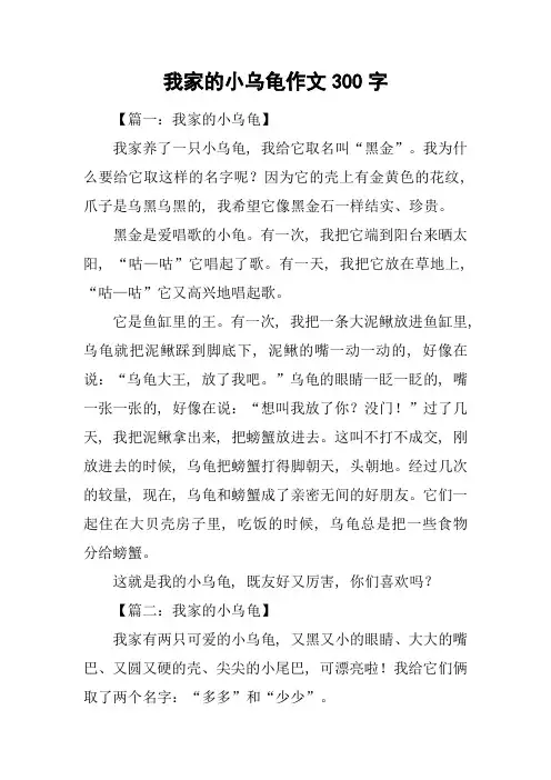 我家的小乌龟作文300字