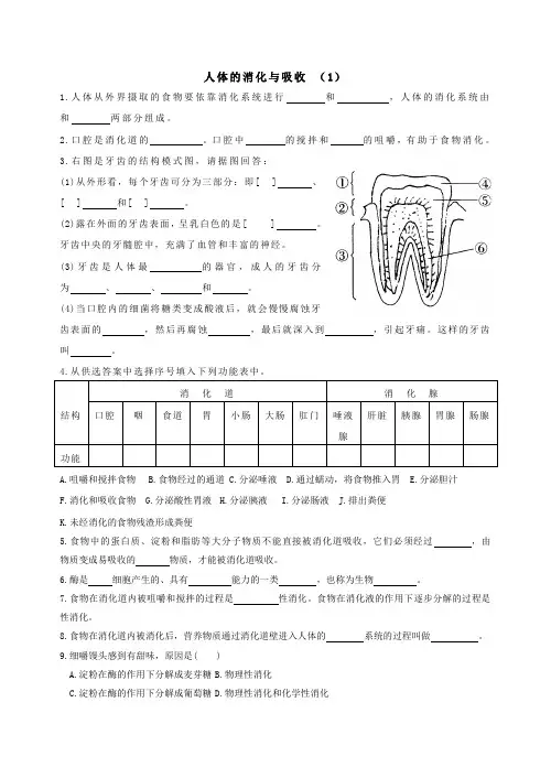 消化和吸收练习(部分中考题)