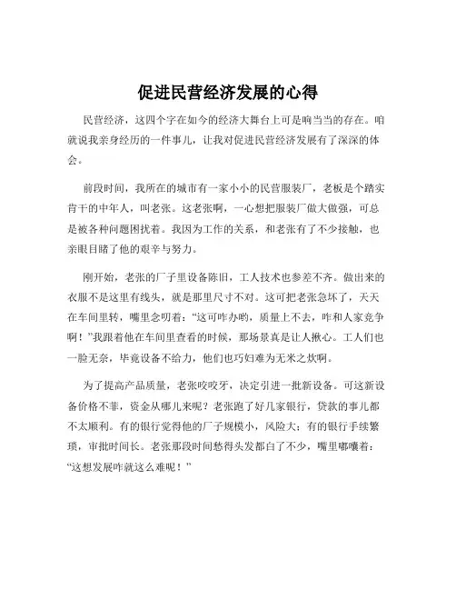 促进民营经济发展的心得