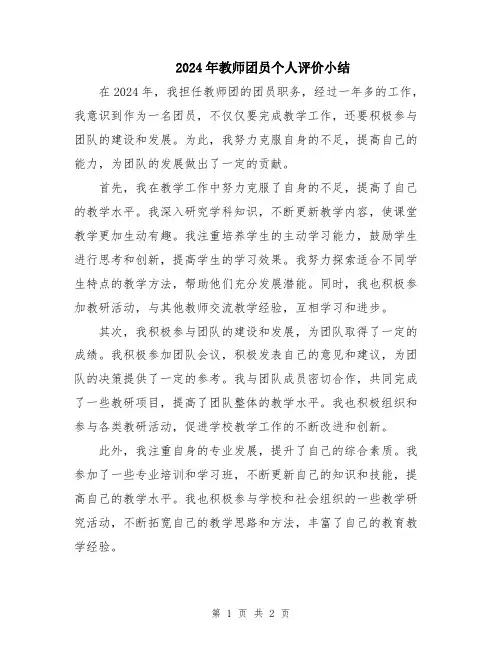 2024年教师团员个人评价小结