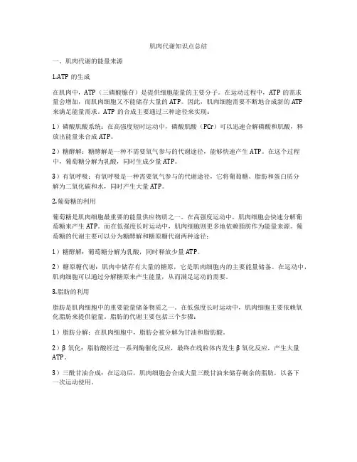 肌肉代谢知识点总结