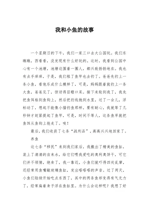 我和小鱼的故事