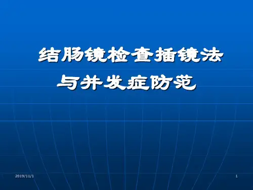 结肠镜检查镜法课件