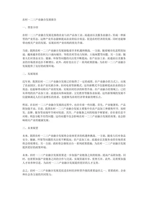农村一二三产业融合发展报告