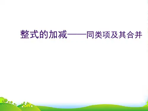 人教七年级数学上册《整式的加减同类项及其合并》课件(共27张PPT)