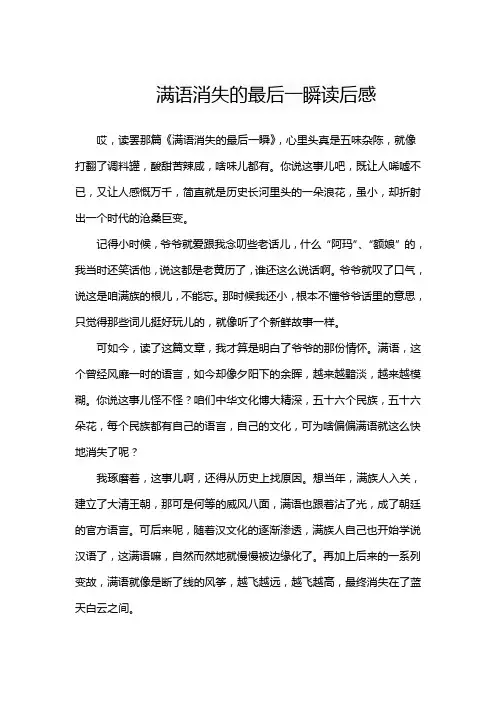 满语消失的最后一瞬读后感