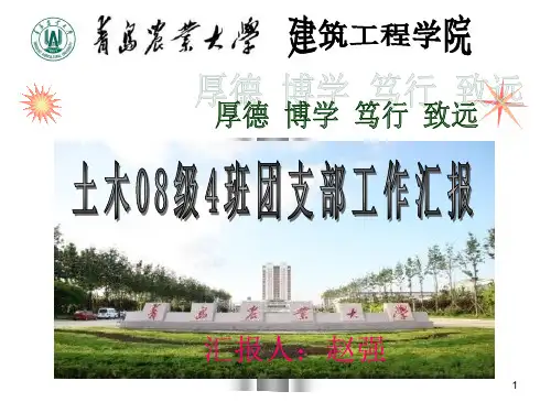 团支部考核ppt课件
