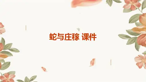 蛇与庄稼 课件