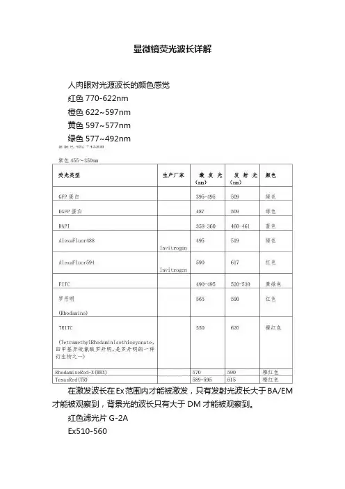 显微镜荧光波长详解