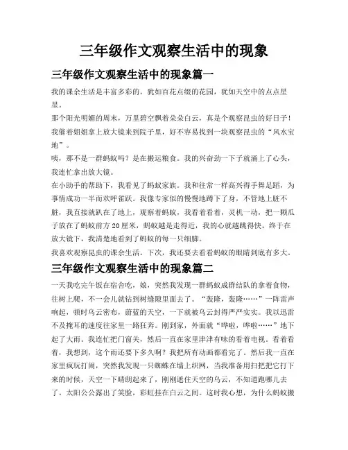 三年级作文观察生活中的现象