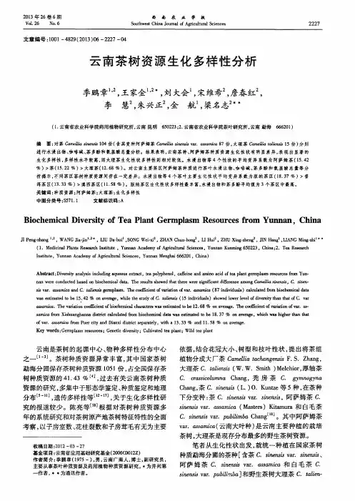 云南茶树资源生化多样性分析