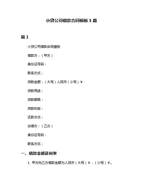 小贷公司借款合同模板3篇
