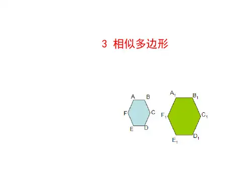 4.3 相似多边形 北师大版九年级数学上册教学课件