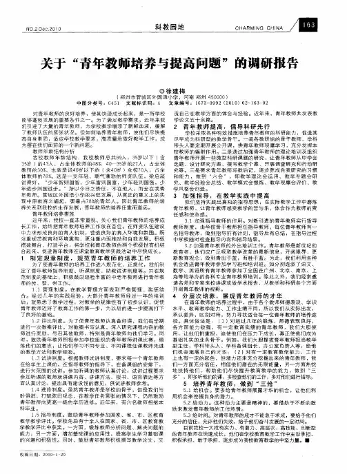 关于“青年教师培养与提高问题”的调研报告