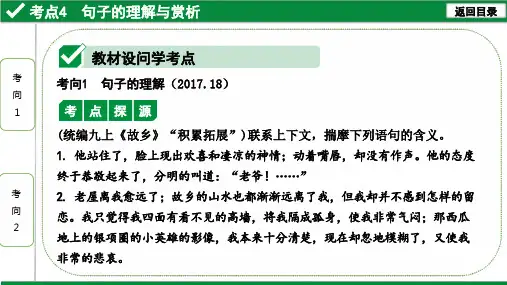 2021年中考语文现代文阅读复习：考点4句子的理解与赏析