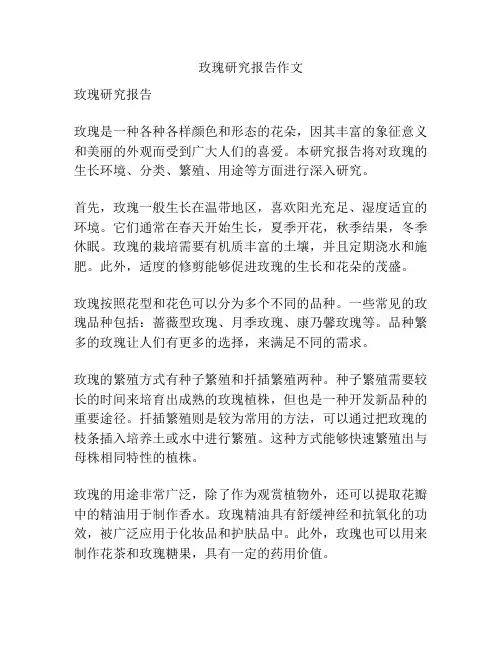 玫瑰研究报告作文
