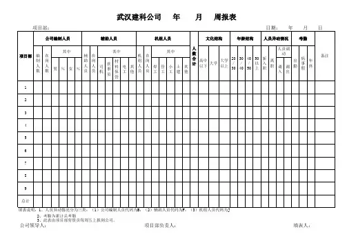 人力资源周报表表样