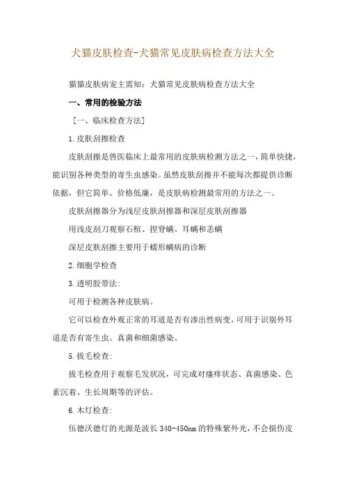 犬猫皮肤检查-犬猫常见皮肤病检查方法大全