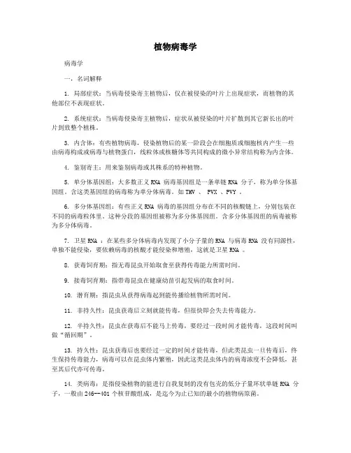 植物病毒学