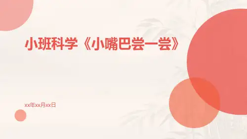 小班科学《小嘴巴尝一尝》