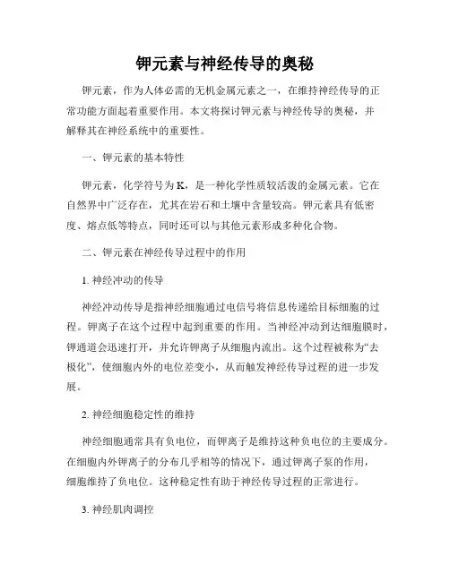 钾元素与神经传导的奥秘