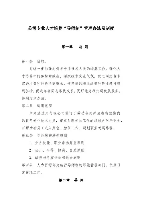 公司专业人才培养“导师制”管理办法及制度