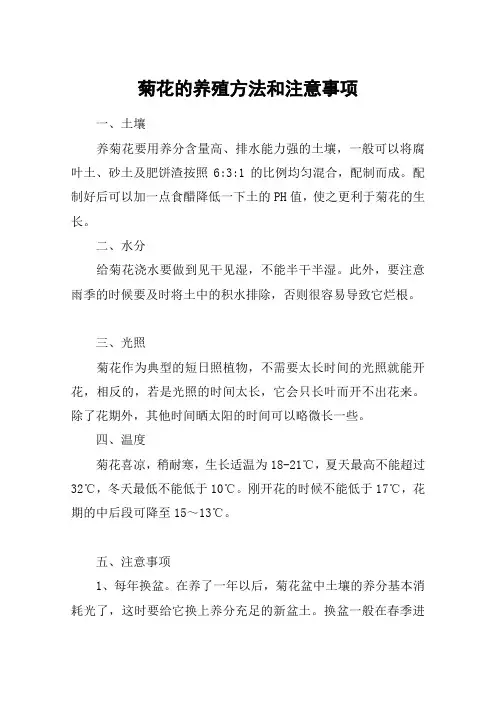 菊花的养殖方法和注意事项