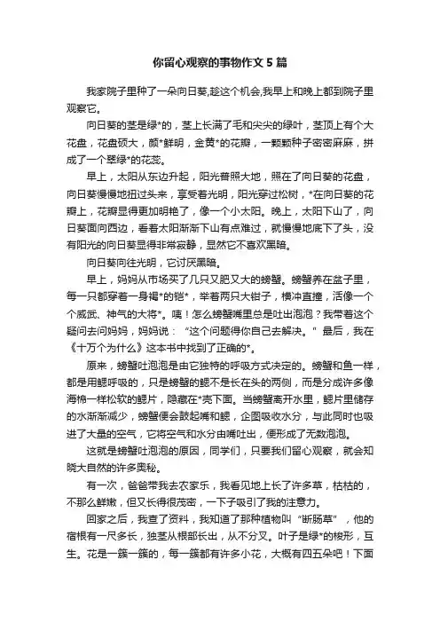你留心观察的事物作文5篇