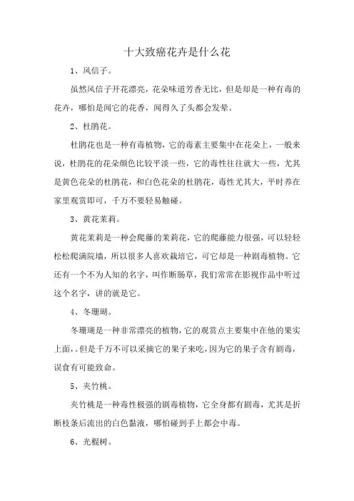 十大致癌花卉是什么花