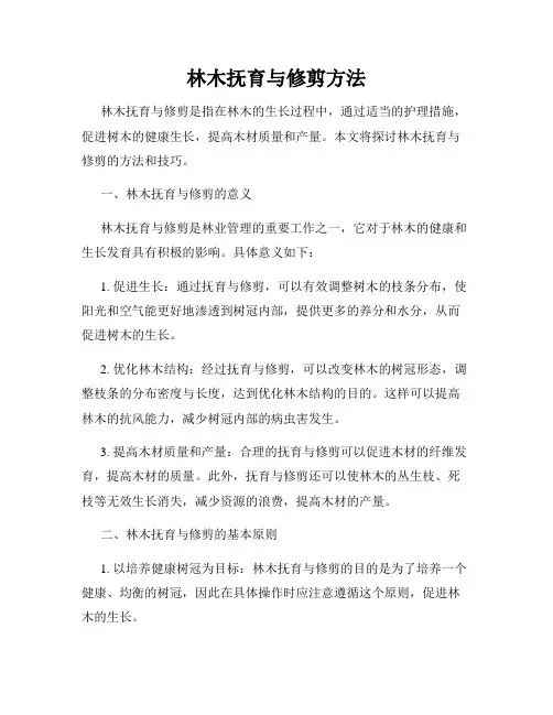 林木抚育与修剪方法