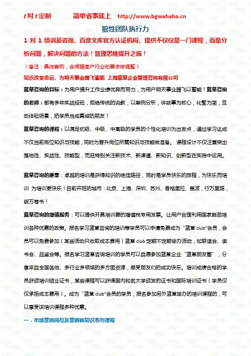 《狼性团队执行力》
