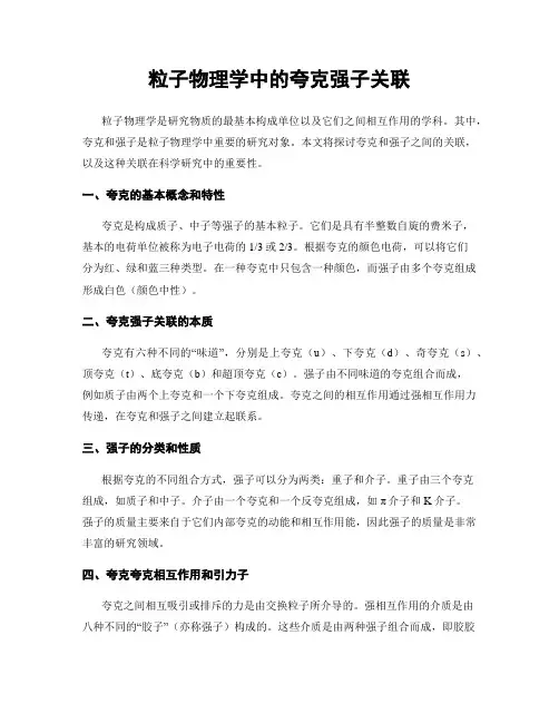 粒子物理学中的夸克强子关联