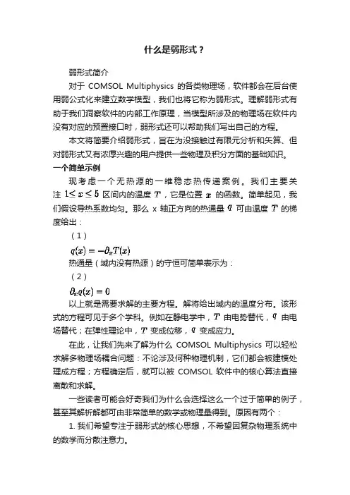 什么是弱形式？