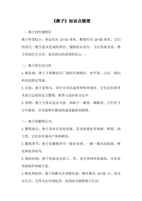 《燕子》知识点梳理