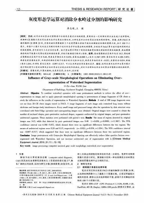 灰度形态学运算对消除分水岭过分割的影响研究