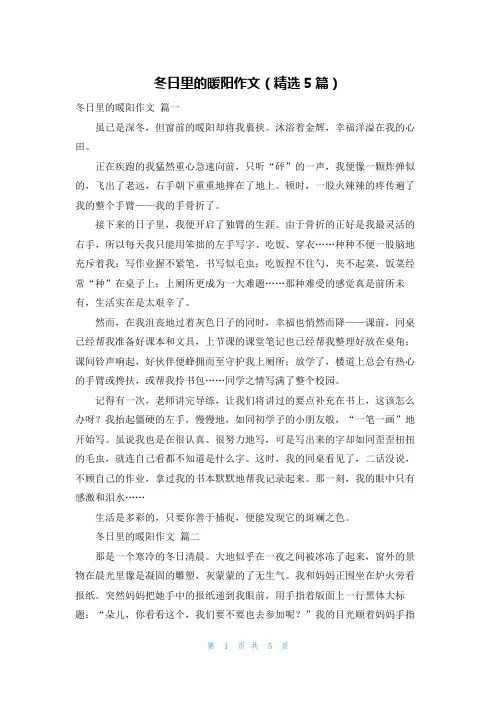 冬日里的暖阳作文(精选5篇)