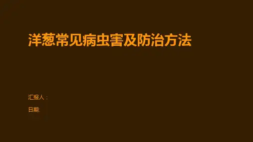洋葱常见病虫害及防治方法