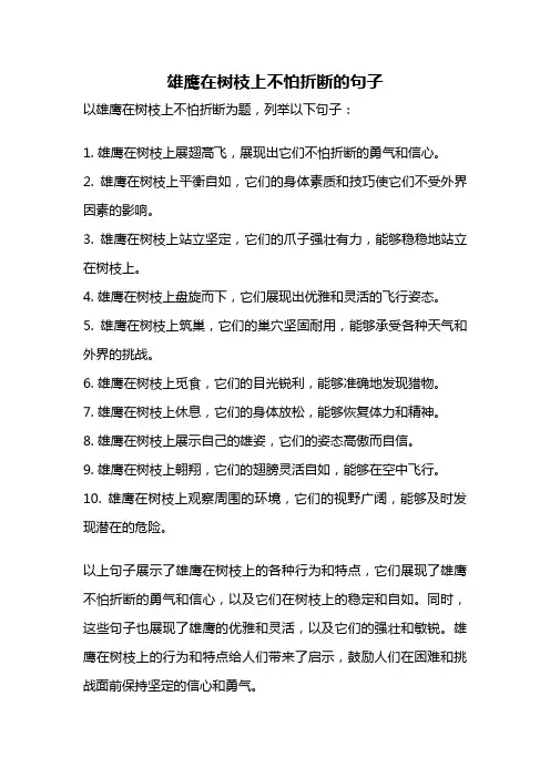 雄鹰在树枝上不怕折断的句子