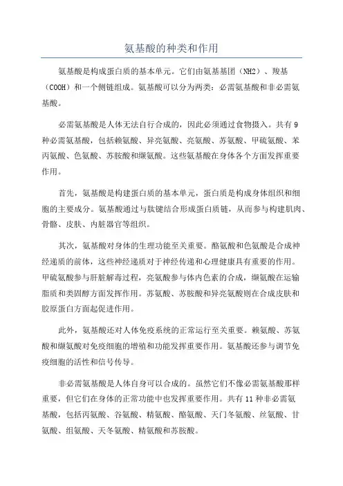 氨基酸的种类和作用