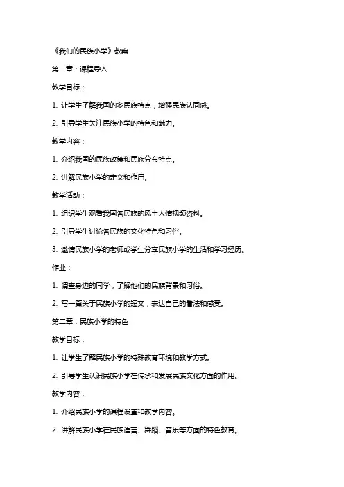 《我们的民族小学》教案